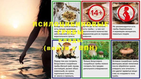 тгк Волоколамск