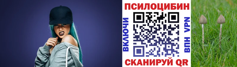Купить закладки  Микунь  Галлюциногенные грибы GOLDEN TEACHER 